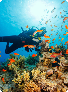 Diving — LTS Travel