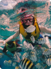 Snorkeling — LTS Travel