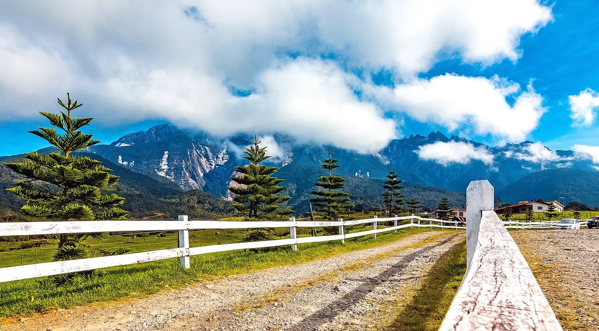 Desa Dairy Farm di Kundasang dengan latar Gunung Kinabalu