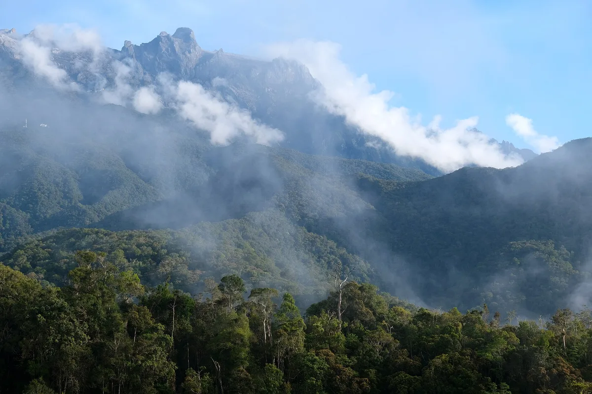 Awan hutan hujan terbentuk di sekitar Gunung Kinabalu, Kundasang