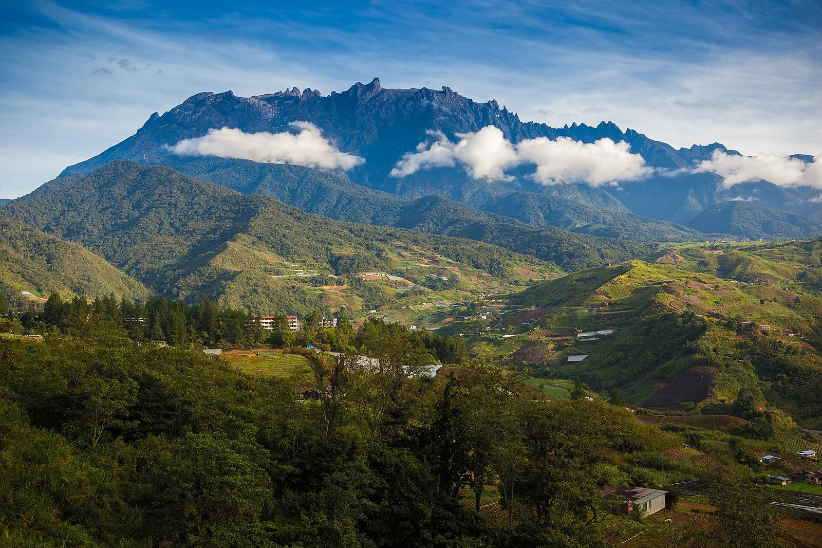 Pemandangan pagi Gunung Kinabalu dengan puncak jelas kelihatan
