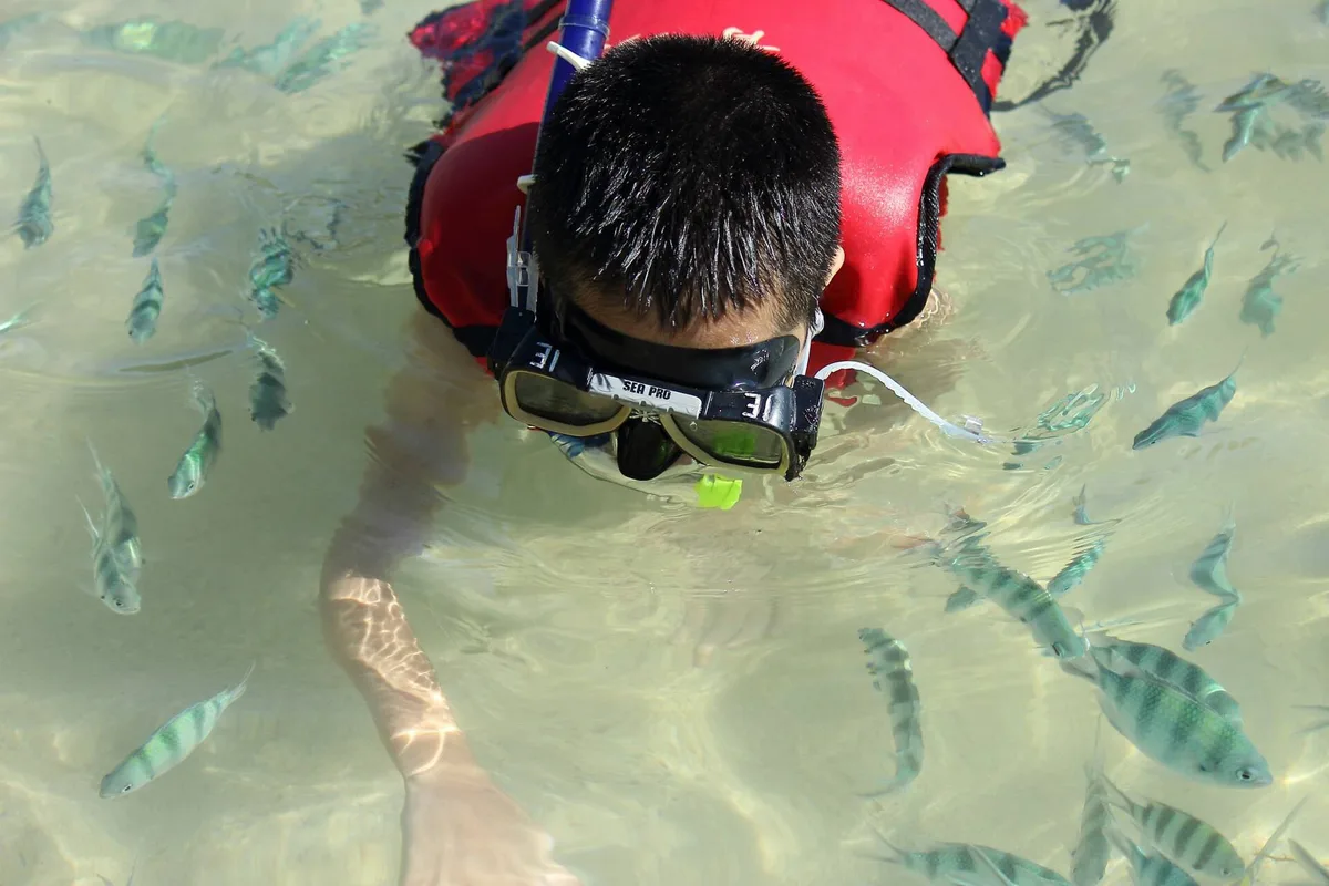 Taman Tunku Abdul Rahman dilihat dari tepi pantai